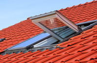 Hazelton Walls roof window